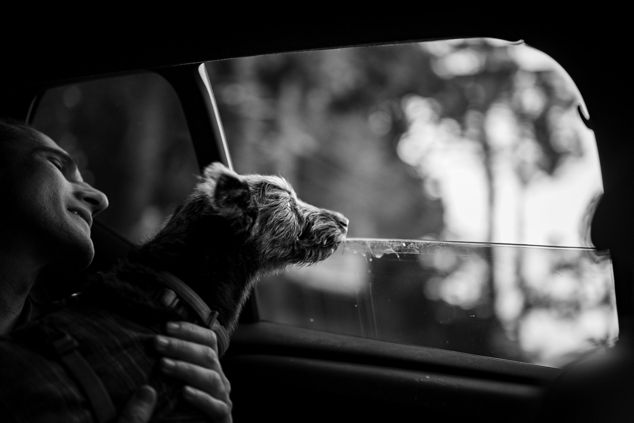 Foto de Manu Rigoni Fot&oacute;grafa 1