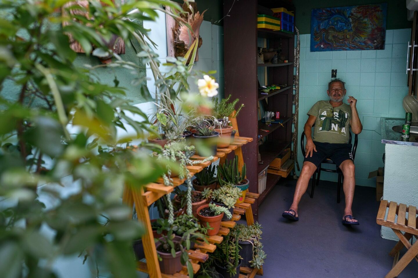 Natal da Família Napoli