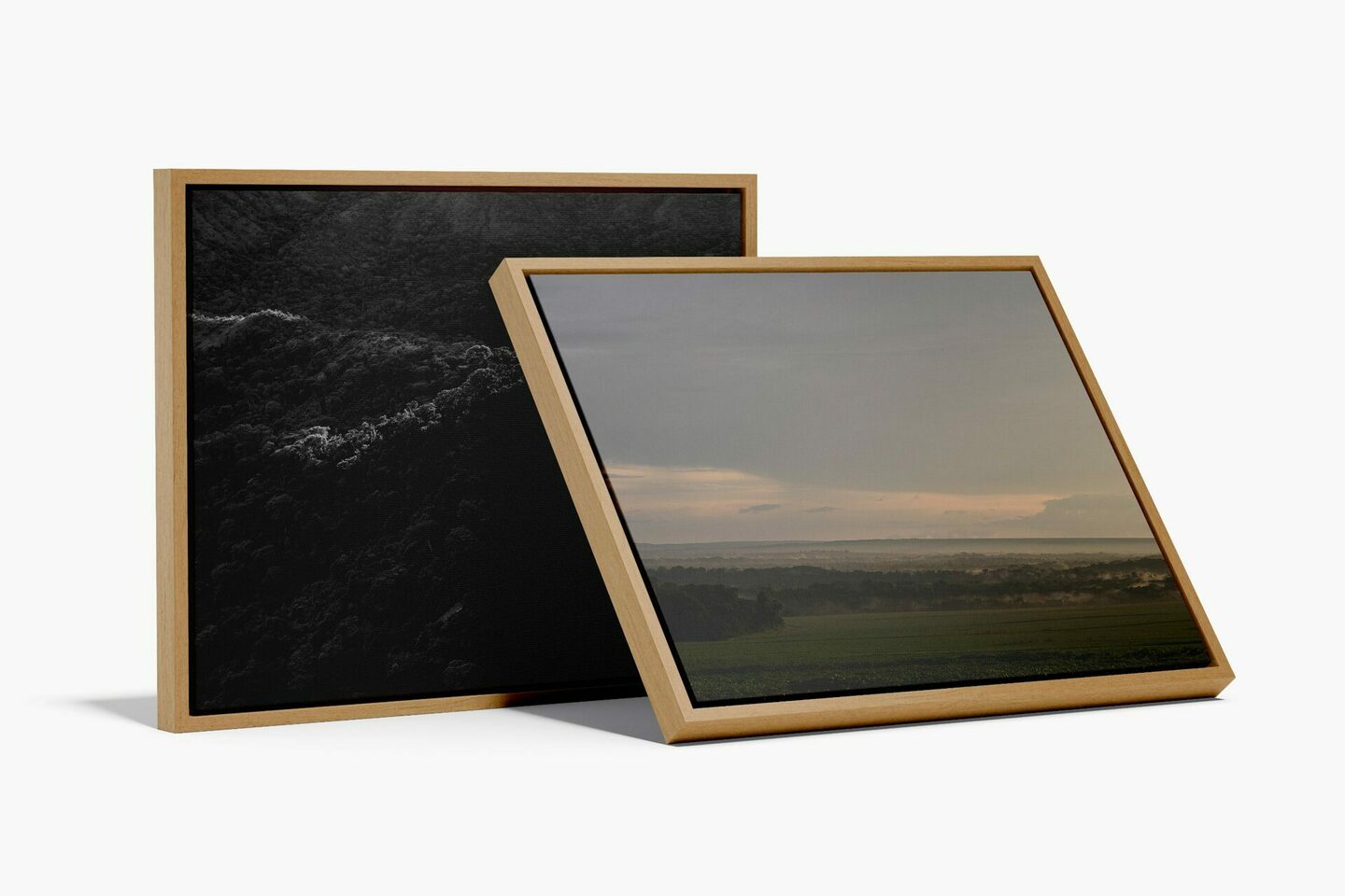 Coleção Mato Grosso