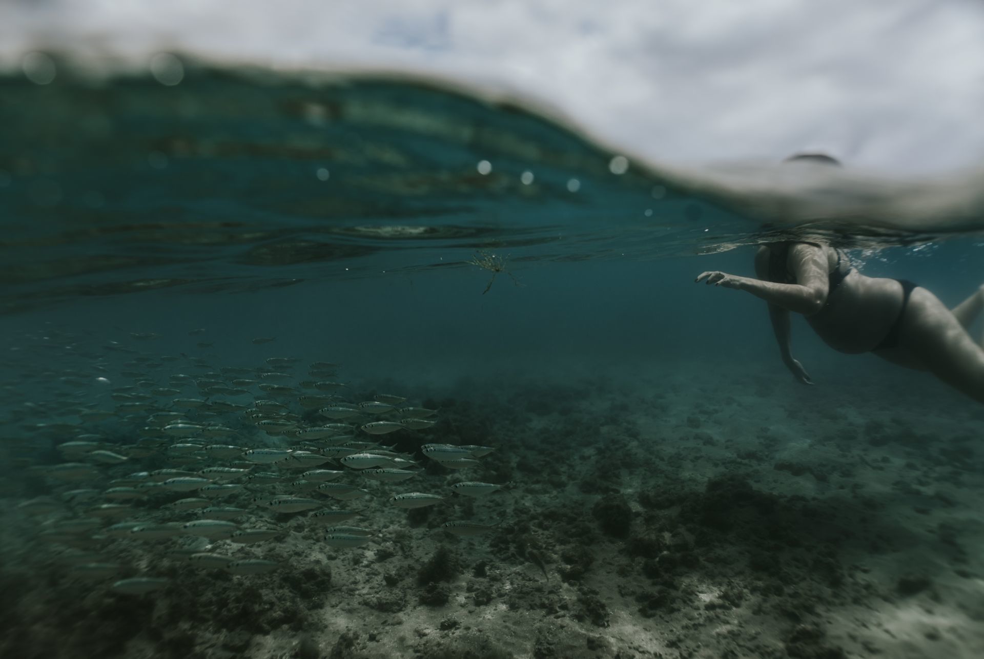 Foto Ensaio Gestante debaixo d'água - Porto de Galinhas/PE - Imagem 4