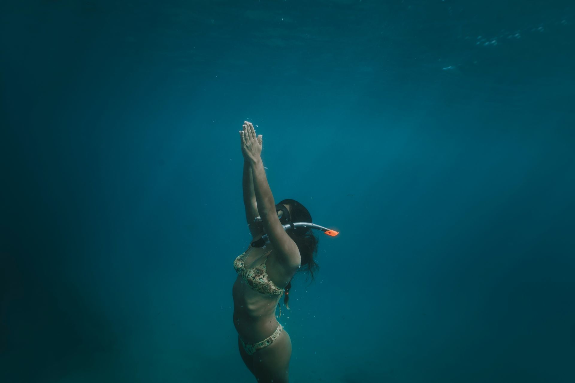 Foto Retratos ao Mar - Mergulho Recreativo - Imagem 8