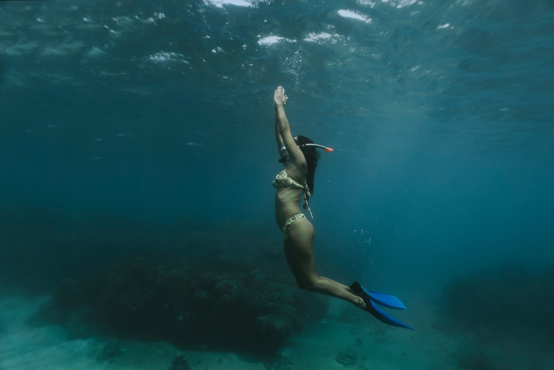Foto Retratos ao Mar - Mergulho Recreativo - Imagem 3