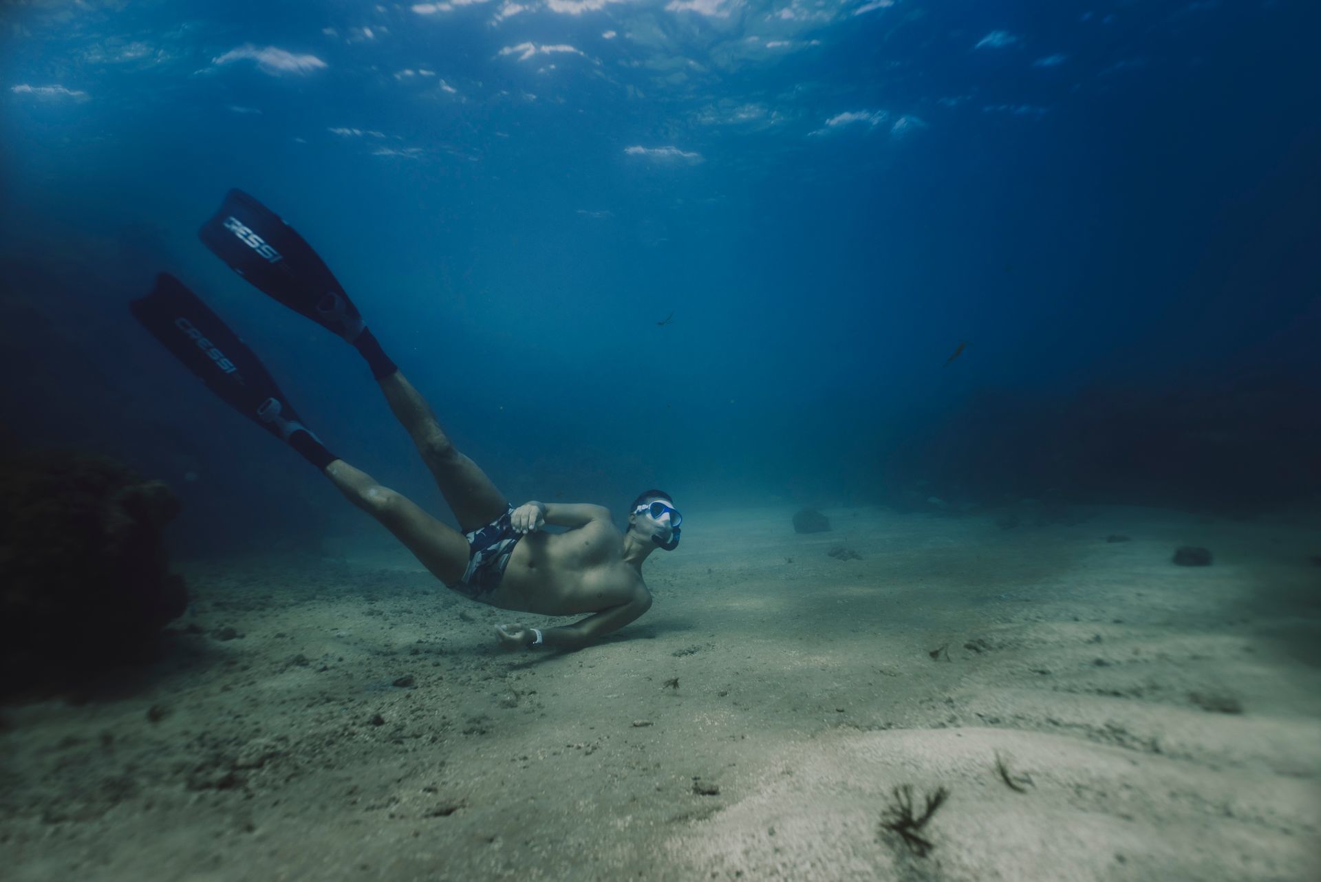 Foto Retratos ao Mar - Mergulho Recreativo - Imagem 1