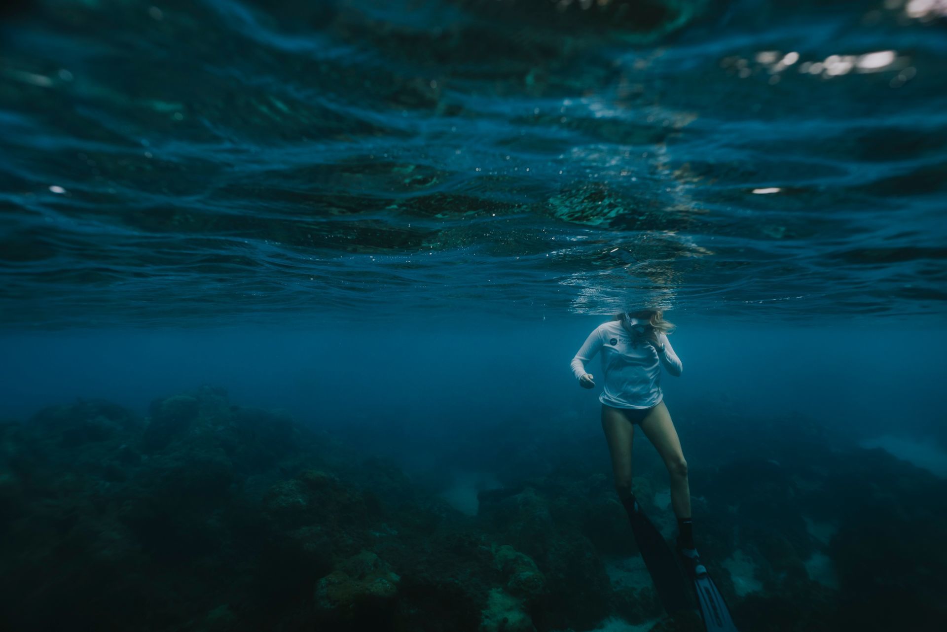 Foto Retratos ao Mar - Mergulho Recreativo - Imagem 13