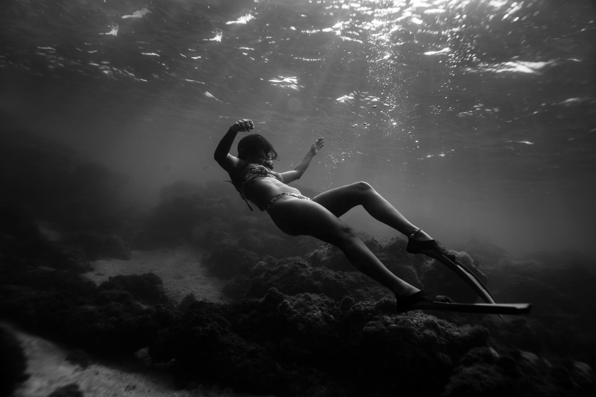 Foto Retratos ao Mar - Mergulho Recreativo - Imagem 15