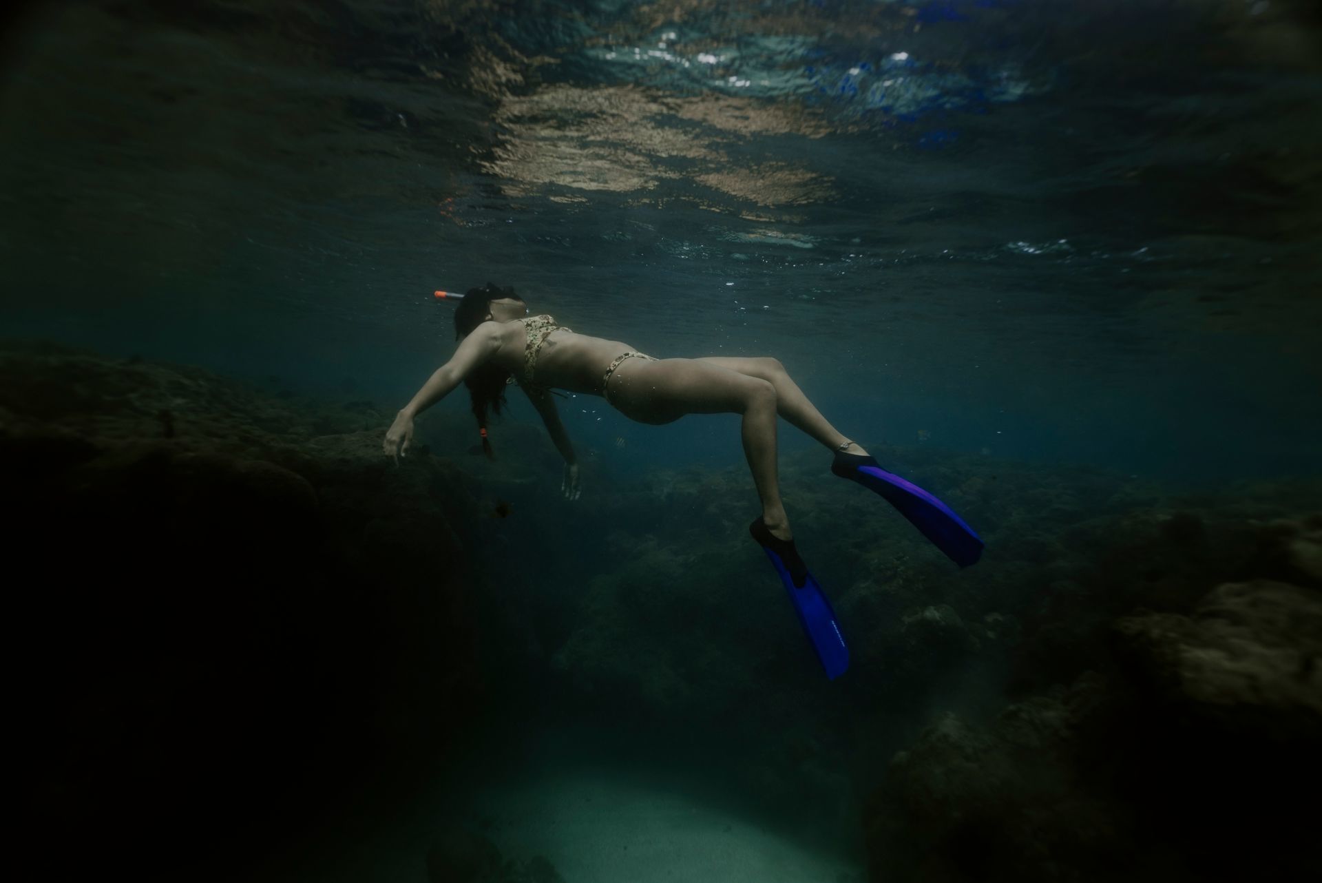 Foto Retratos ao Mar - Mergulho Recreativo - Imagem 12