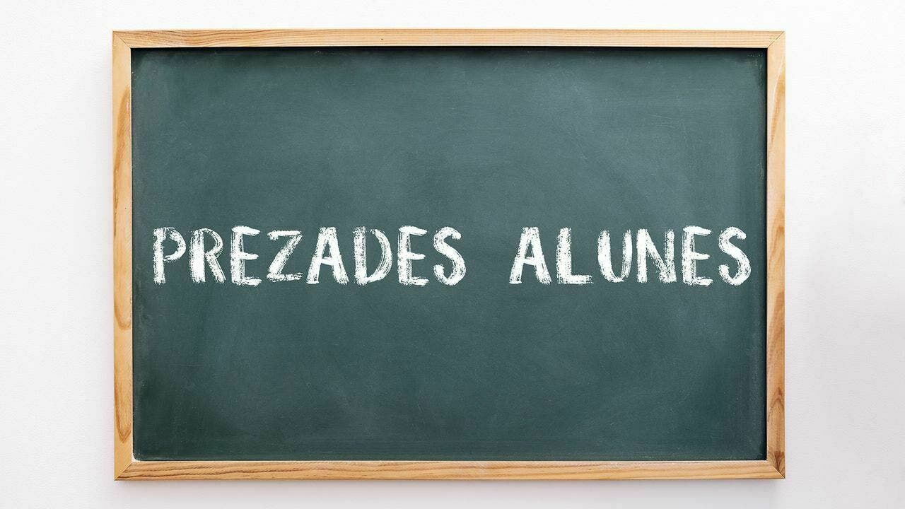 A importância da linguagem neutra A importância da linguagem neutra